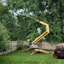Best Weed Control  in Santa Cruz, CA